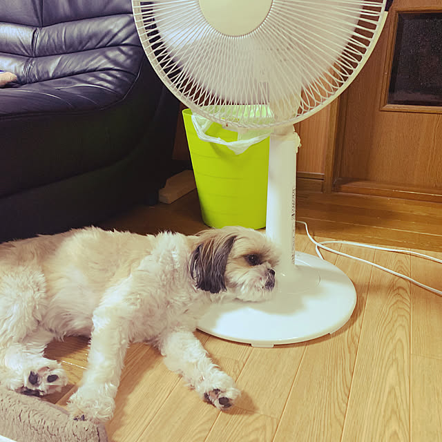 Yuさんの実例写真