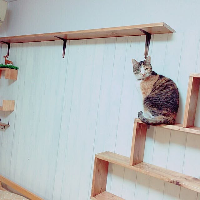 Blueskyさんの実例写真