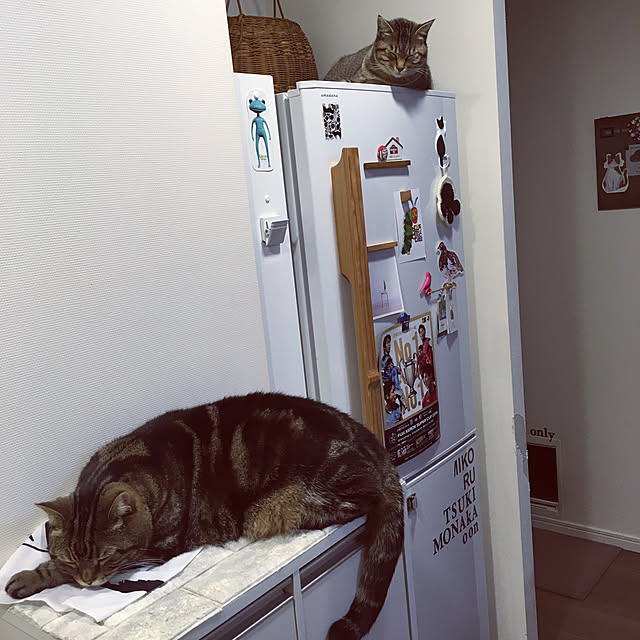 mikomaruさんの実例写真