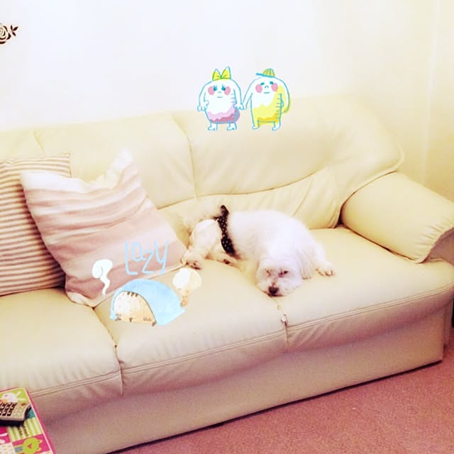 nyanpuuさんの実例写真