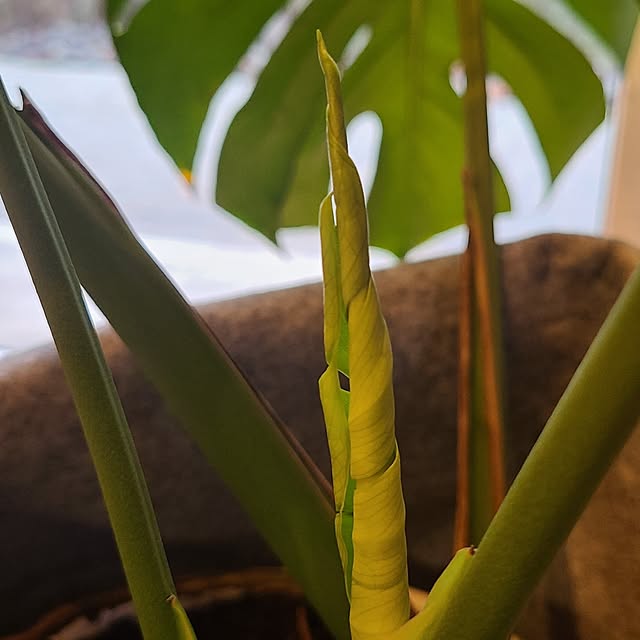 Rubiconさんの部屋