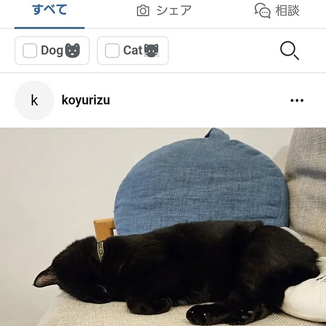 koyurizuさんの部屋