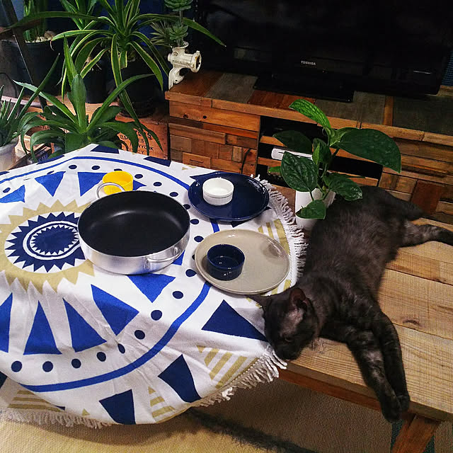 ugさんの実例写真