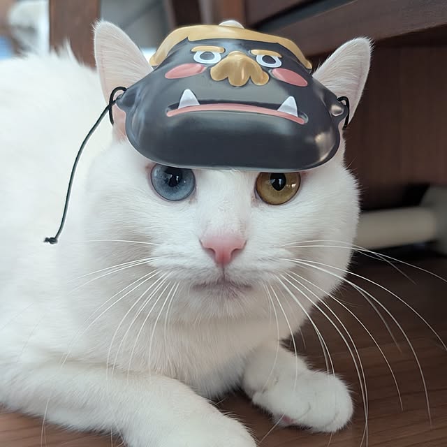 necoさんの部屋