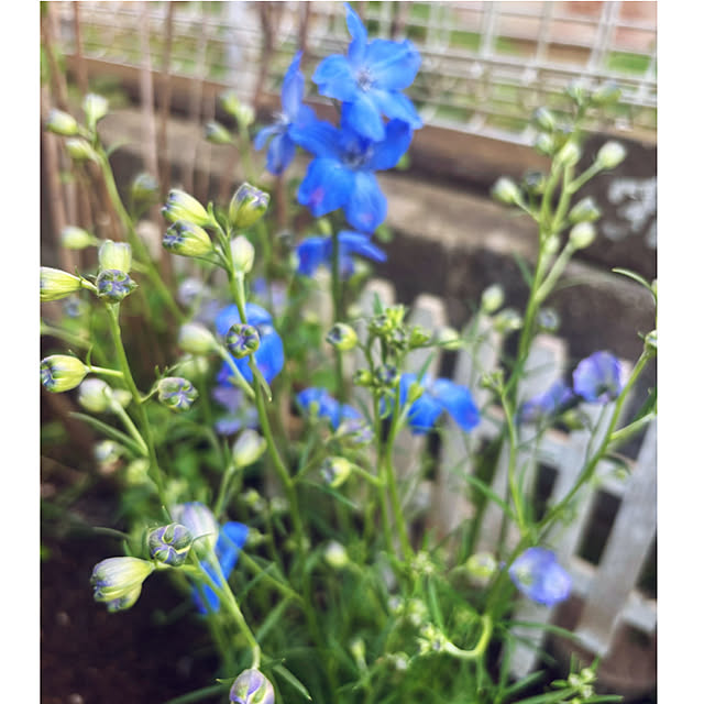 CoCo0617さんの部屋