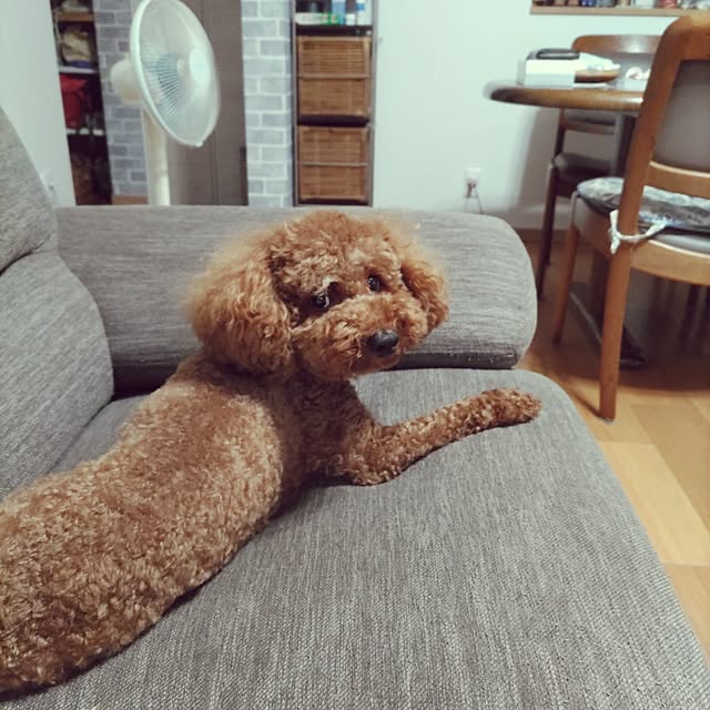 chokocreamさんの実例写真