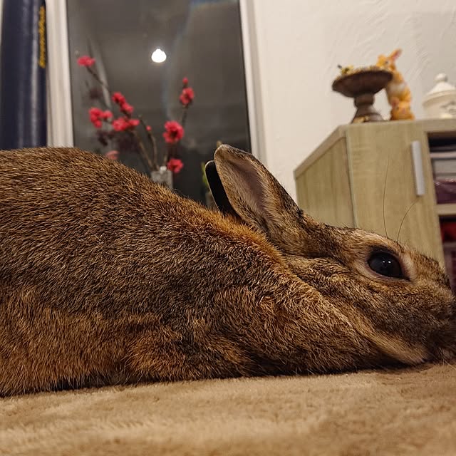 yuuuuさんの部屋