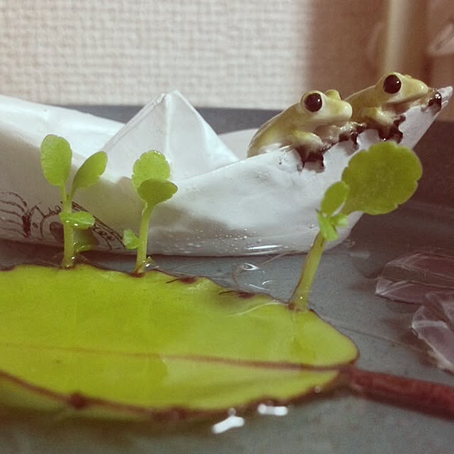 yukitanさんの実例写真