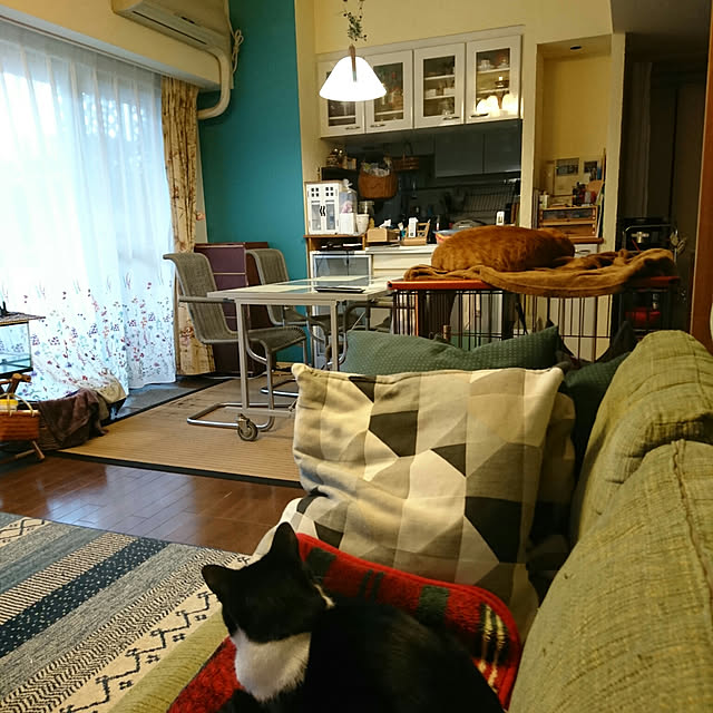 okyosan101さんの実例写真