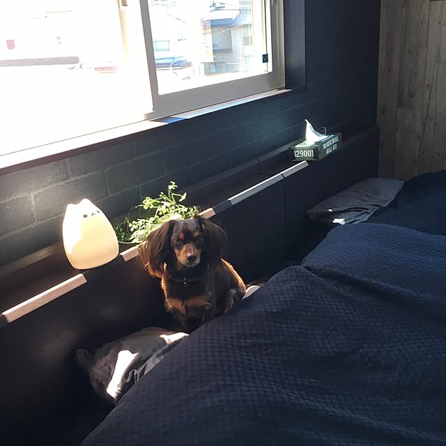 chamaさんの実例写真