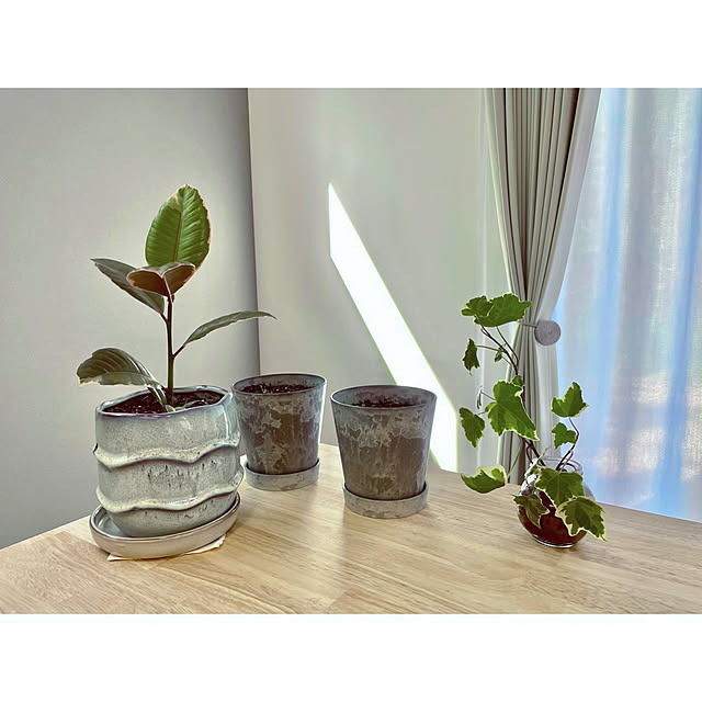greenleaves36さんの実例写真