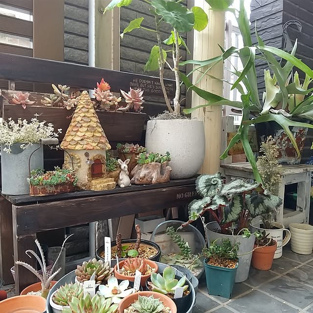 tomomiさんの部屋