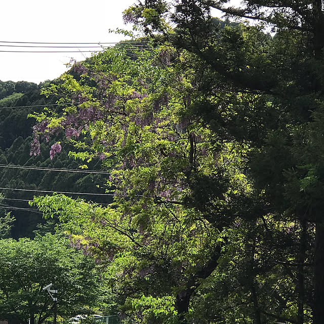 AKANEさんの実例写真