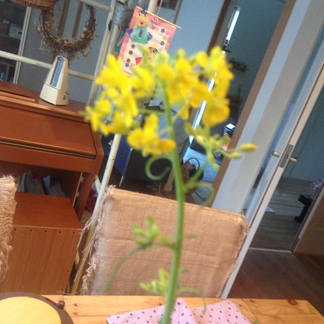 izuhanさんの実例写真