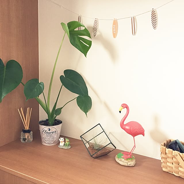 miwamさんの実例写真