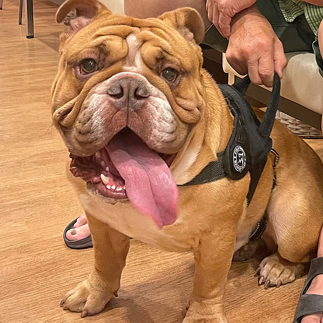 cheekayoさんの部屋