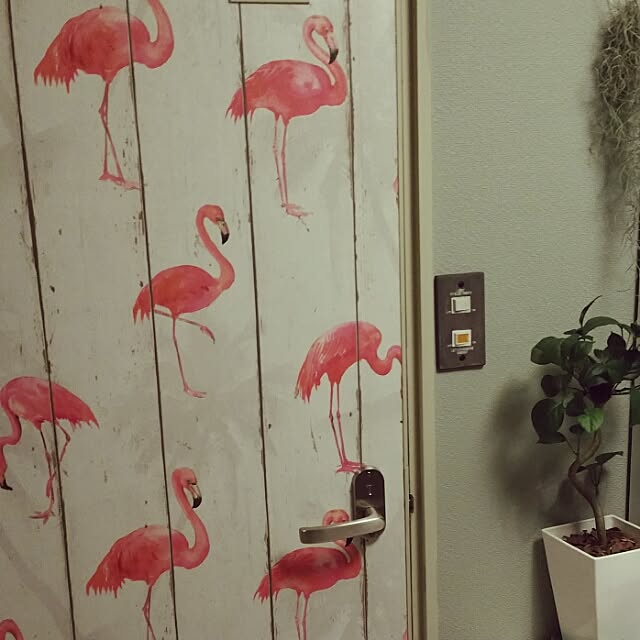 Kazusaさんの実例写真