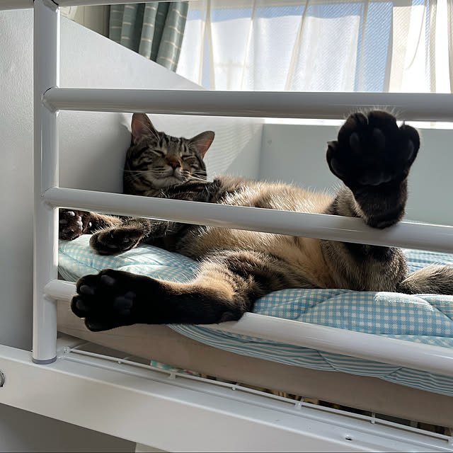 ramunekoさんの実例写真
