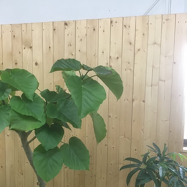 GREENJAMさんの実例写真