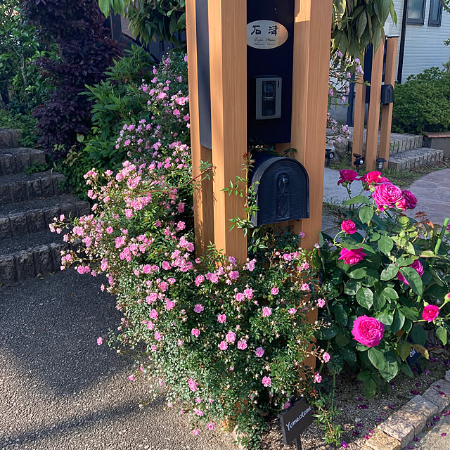 mamiさんの部屋