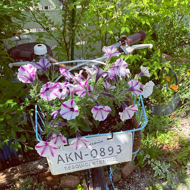 min_nimさんの実例写真