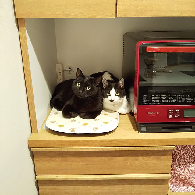 haruissaさんの実例写真