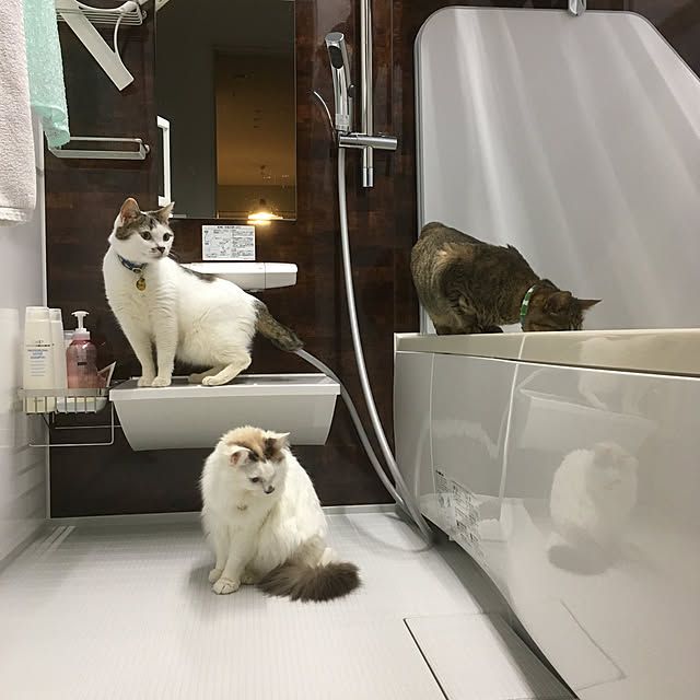 nyancohomeさんの実例写真