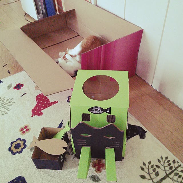 pouさんの実例写真