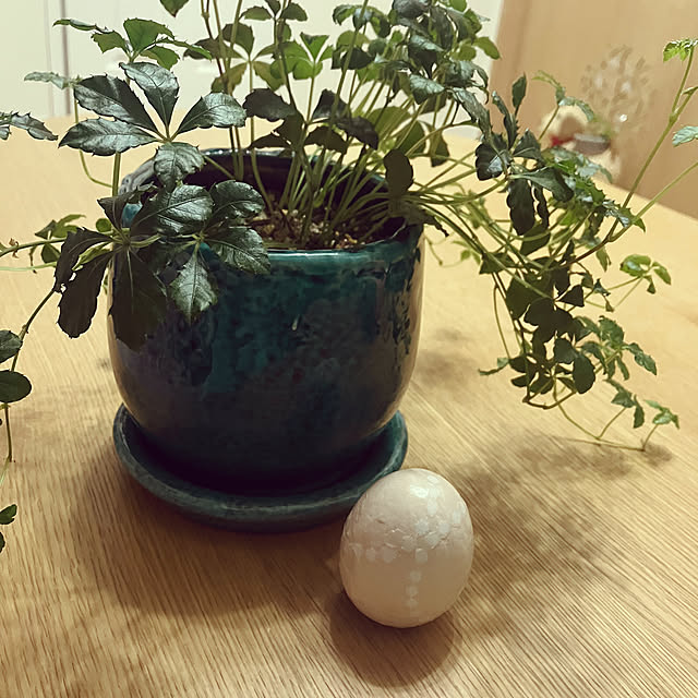 katuさんの実例写真