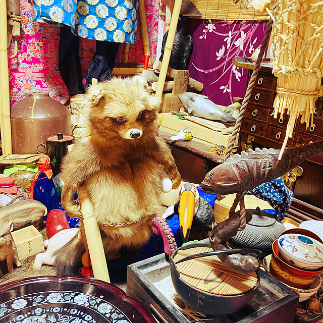 takakuzenさんの実例写真