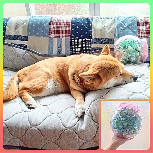 nanaさんの部屋
