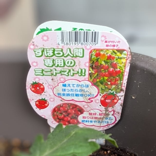 ToReTaRiさんの部屋