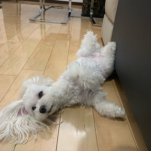 NishiFamilyさんの実例写真