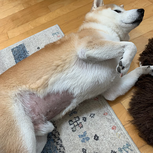 kotatsuさんの部屋