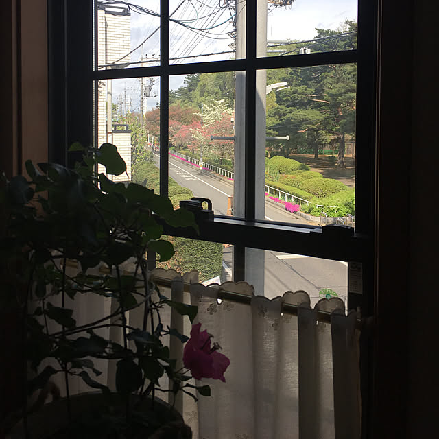 HIRAMEさんの実例写真