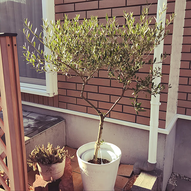 r.mi_bonさんの実例写真