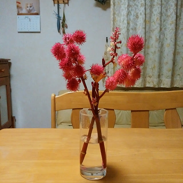yum0408さんの実例写真