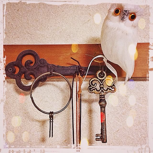nov_uuuさんの実例写真