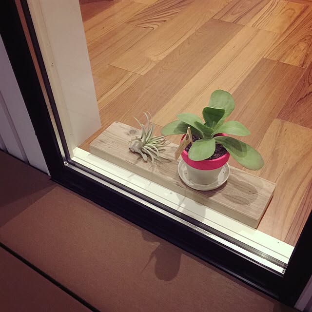 necocoroさんの実例写真
