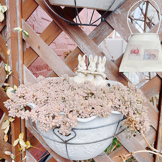 mukkuさんの部屋