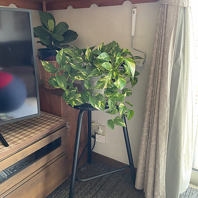 ronronさんの部屋