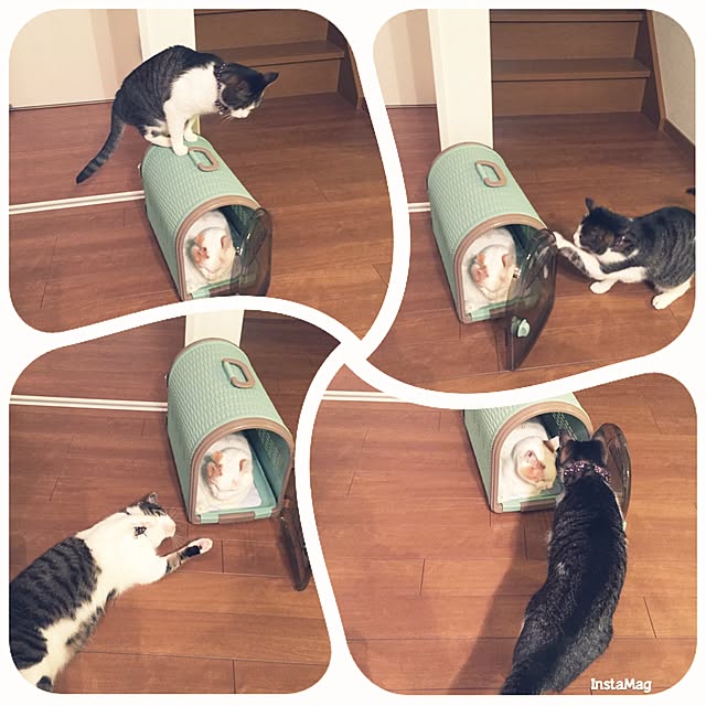 Rettiさんの実例写真