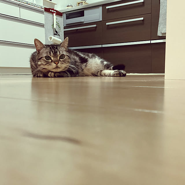 richanさんの実例写真