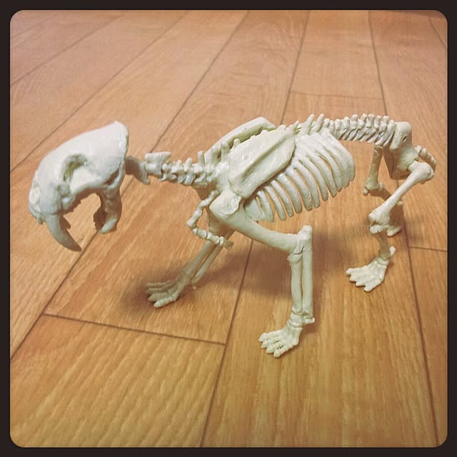 kayochingさんの実例写真
