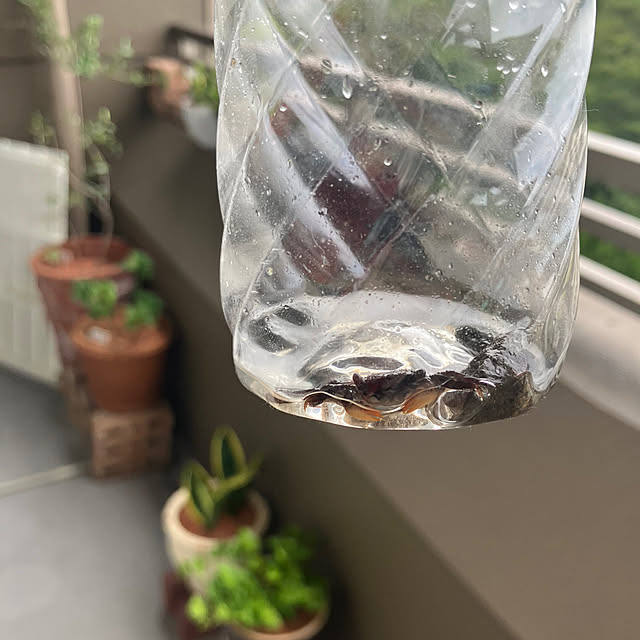 koshiregutyoさんの実例写真