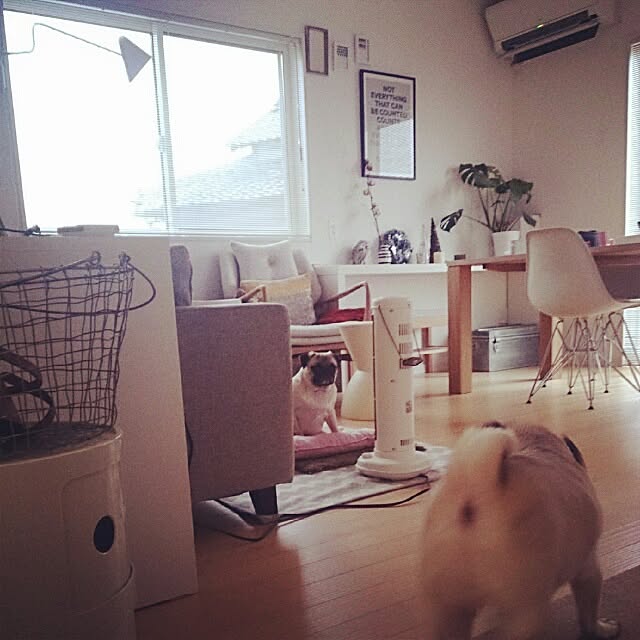 momibunさんの実例写真