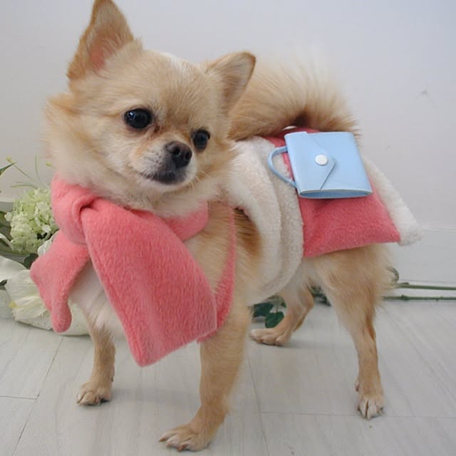 Sangoさんの実例写真