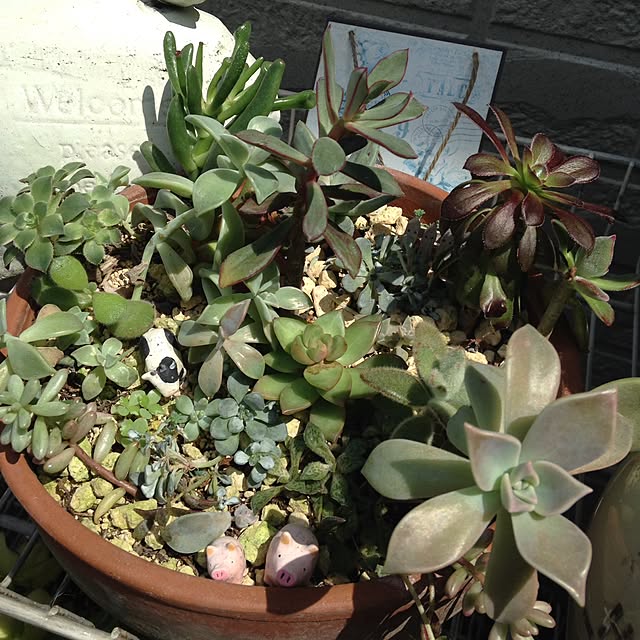 na-chanさんの実例写真