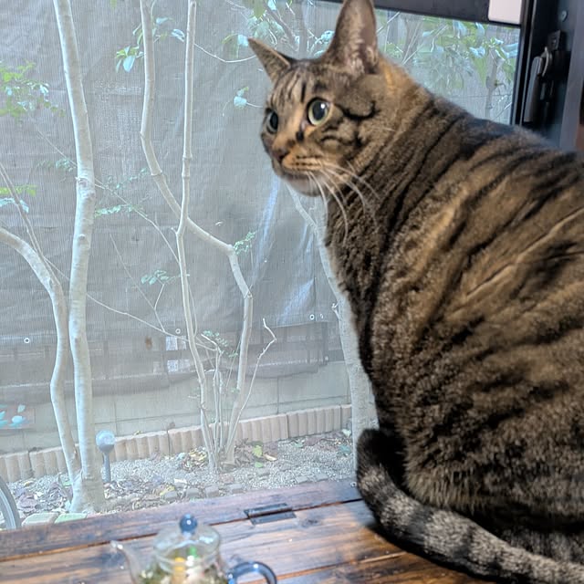 mori_6_12さんの部屋