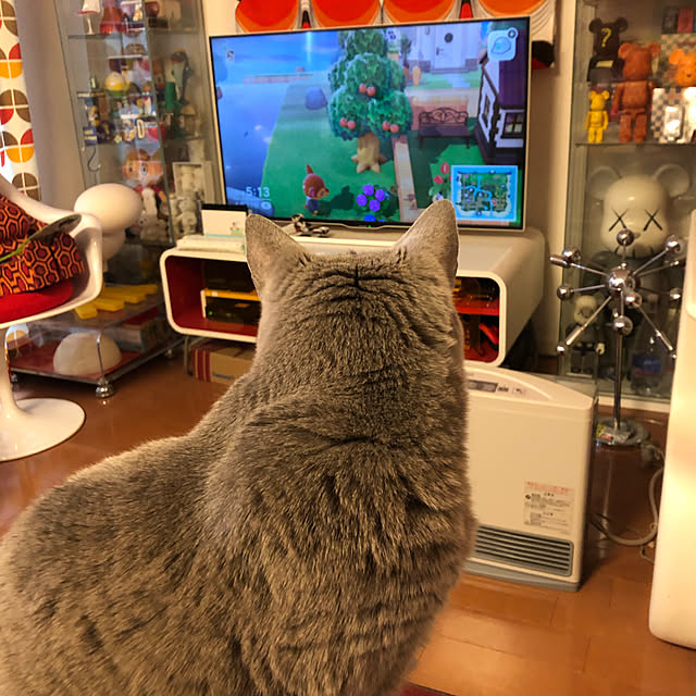 ikettenさんの実例写真